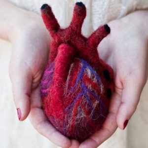 Anatomically Correct Felt Heart