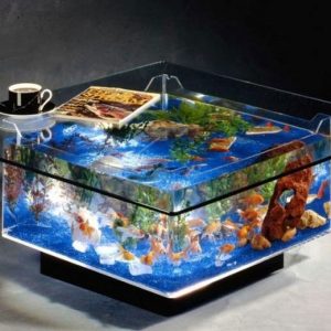 Coffee Table Aquarium