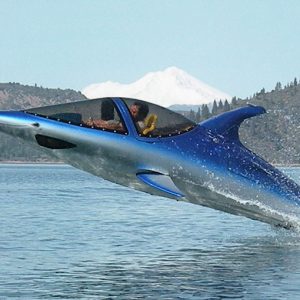 Dolphin Power Boat