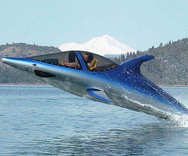 Dolphin Power Boat