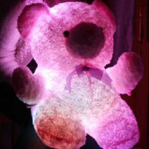 Light Up Teddy Bear