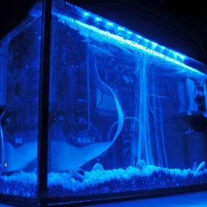 Aquarium Computer Case