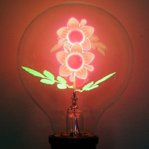 Flower Filament Light Bulbs