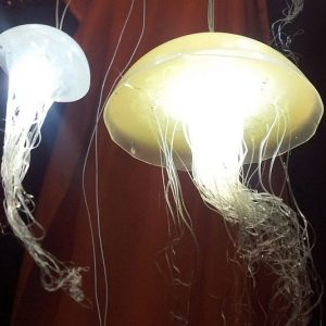 Light Up Hanging Jellyfish