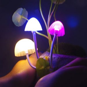 Light Up Mushroom Lamps