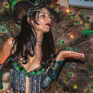 Peacock Dancer Costume