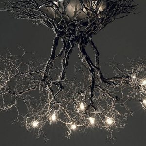 Tree Root Chandelier