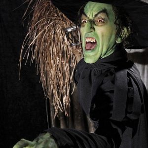Wicked Witch Of The West Costume