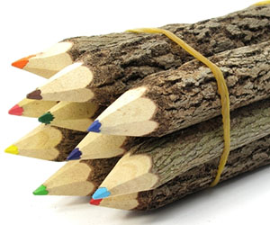 Wooden Branches Colored Pencils