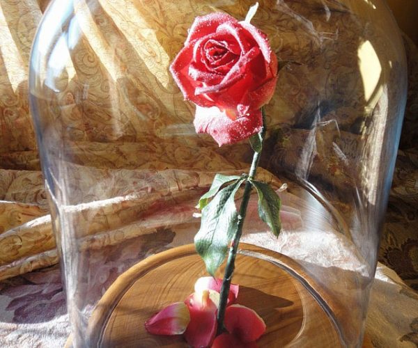 Beauty And The Beast Enchanted Rose