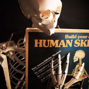Build Your Own Skeleton Book