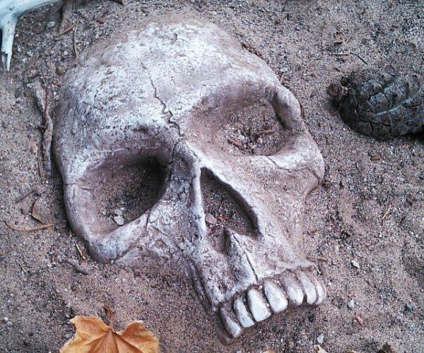Buried Skull Garden Decoration