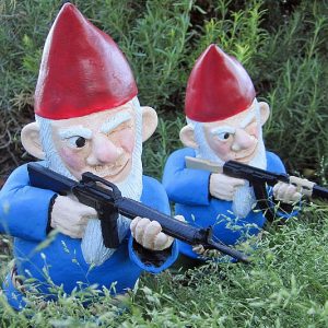Combat Lawn Gnomes