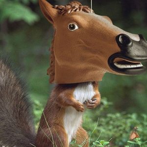 Creepy Horse Head Squirrel Feeder
