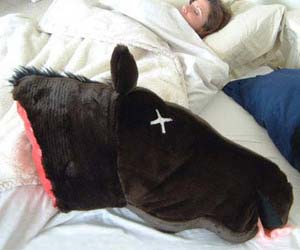Dead Horse Head Pillow