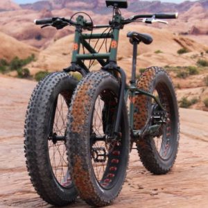 Electric Fat Tire Off-Road Tricycle