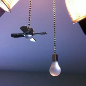 Fan and Light Bulb Pull Chains