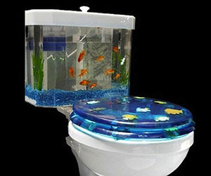 Fishbowl Toilet