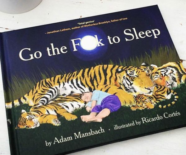 Go The Fuck To Sleep Kid’s Book