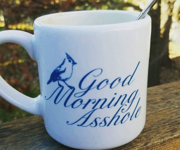 Good Morning Asshole Mug