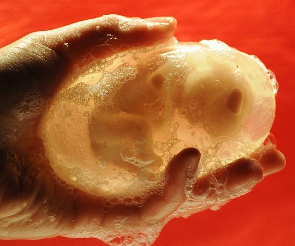 Human Fetus Soap Bar
