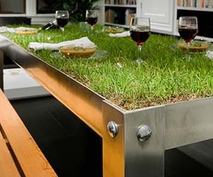 Indoor Grassy Picnic Table