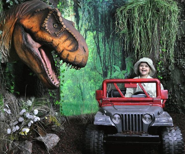 Jurassic Park Themed Photography Set