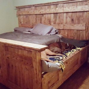 King Bed With Doggy Insert