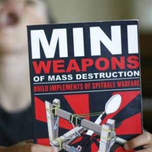 Mini Weapons Of Mass Destruction Book