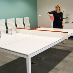Ping Pong Conference Table