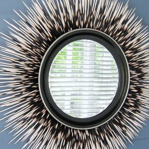 Porcupine Quill Mirror