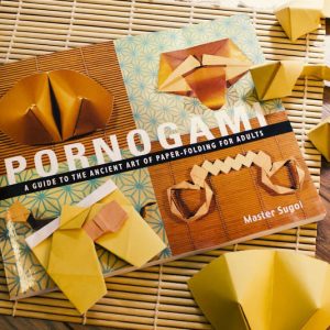 Pornogami Erotic Origami Book