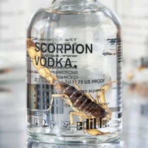 Scorpion Infused Vodka