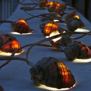 Sea Shell String Lights