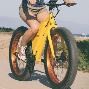 The Affordable Electric Bike