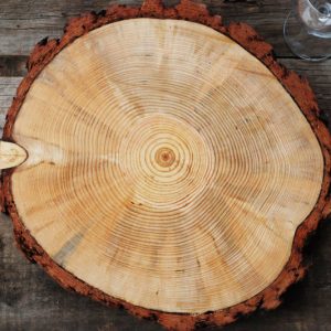 Tree Slice Charger Plate