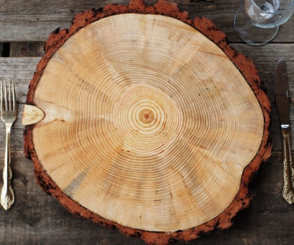 Tree Slice Charger Plate