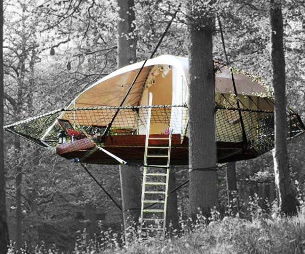 Tree Cabin Tent