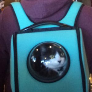 Bubble Backpack Pet Carrier