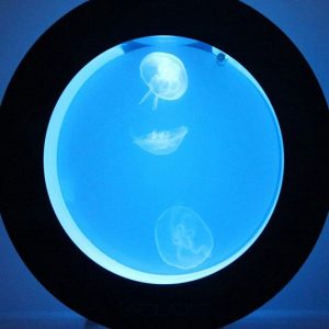 Color Changing Jellyfish Aquarium