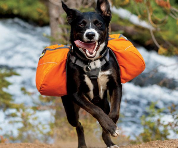 Dog Harness Backpack