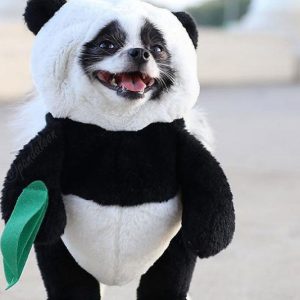 Dog Panda Costume