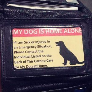 Emergency Pet Care Card
