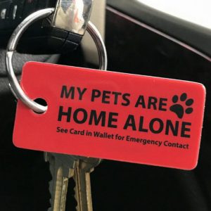 Emergency Pet Key Tags