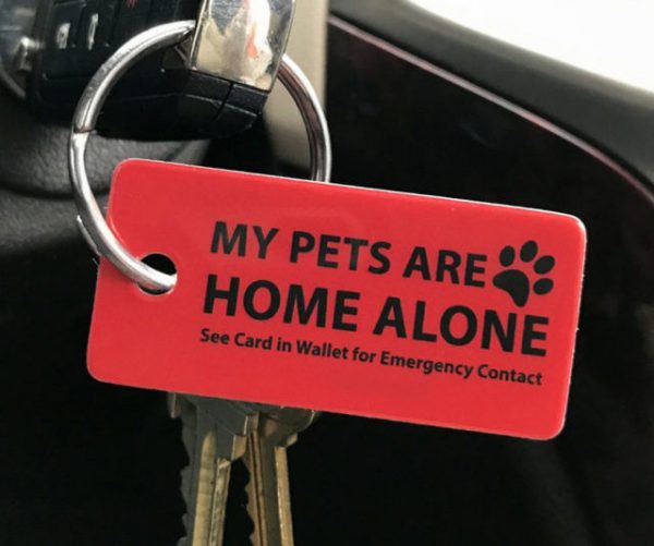 Emergency Pet Key Tags