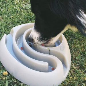 Food Maze Dog Bowl