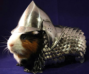 Guinea Pig Knight Armor