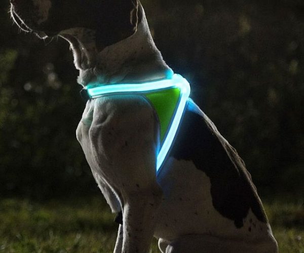Illuminated And Reflective Dog Vest