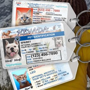 Personalized Driver’s License Pet Tag