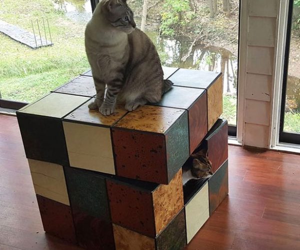 Rubik’s Cube Cat Bed